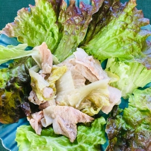 簡単♩ネギ豚白菜の無水鍋